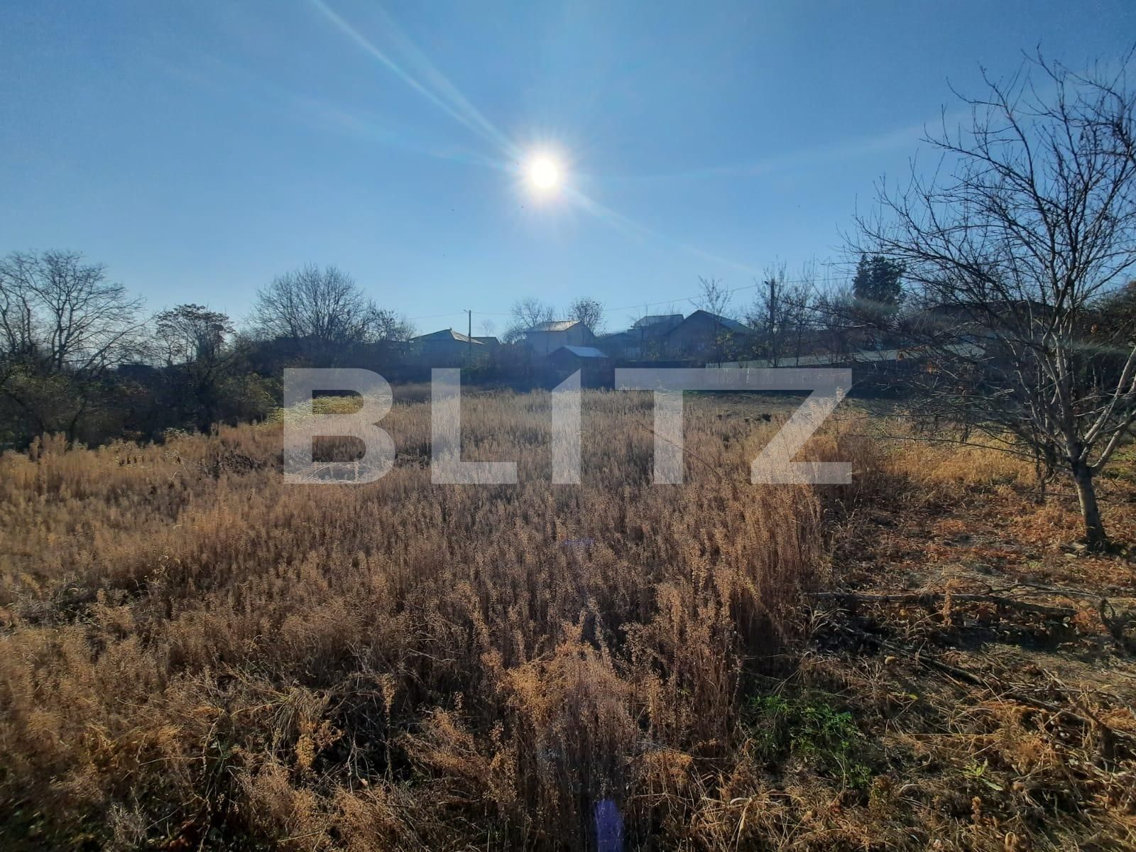 Teren de vânzare Sud-Vest - 75601TV | BLITZ Iași | Poza3