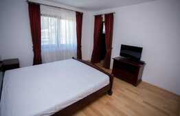 Penthouse pe doua niveluri, 160 mp, bulevard Bucium