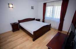 Penthouse pe doua niveluri, 160 mp, bulevard Bucium