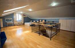 Penthouse pe doua niveluri, 160 mp, bulevard Bucium