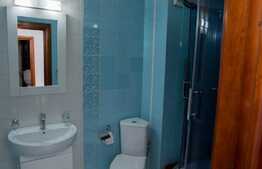 Penthouse pe doua niveluri, 160 mp, bulevard Bucium