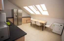 Penthouse pe doua niveluri, 160 mp, bulevard Bucium