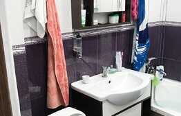 Apartament de 2 camere, cu o cameră disponibilă, 41 mp, zona Podu Roș