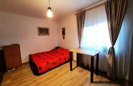 Casa individuala de 110 mp, 4 camere, curte amenajata, Lunca Cetatuii