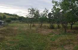 Teren intravilan de 1500 mp, canalizare, Gaureni