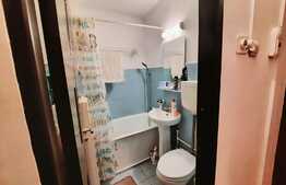 Garsoniera cu bucatarie inchisa, etaj intermediar, Alexandru cel Bun