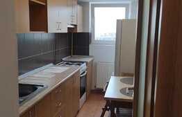 Garsoniera de 40 mp, pet friendly, zona Soseaua Nicolina