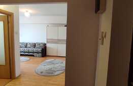 Garsoniera de 40 mp, pet friendly, zona Soseaua Nicolina