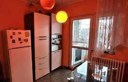 Apartament de 5 camere, dispus pe 2 niveluri, 132 mp, 4 balcoane in zona Canta 