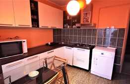 Apartament de 5 camere, dispus pe 2 niveluri, 132 mp, 4 balcoane in zona Canta 