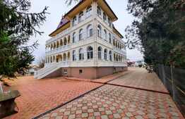 Vila de 13 camere, cu piscina, 4000 mp de teren, zona Lunca Cetatuii