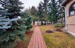 Vila de 13 camere, cu piscina, 4000 mp de teren, zona Lunca Cetatuii