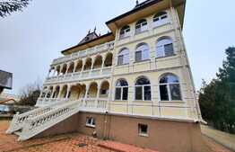 Vila de 13 camere, cu piscina, 4000 mp de teren, zona Lunca Cetatuii