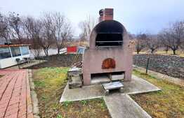 Vila de 13 camere, cu piscina, 4000 mp de teren, zona Lunca Cetatuii