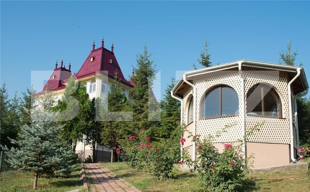 Casa de vânzare 12 camere Lunca Cetatuii - 77395CV | BLITZ Iași | Poza3