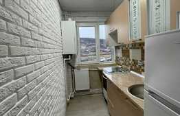 Garsoniera de 32 mp, etaj intermediar, zona Alexandru cel Bun