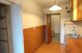 Apartament 3 camere, decomandat, 110 mp, zona Copou