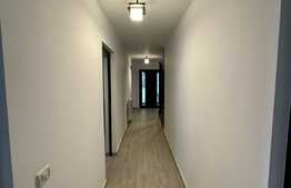 Casa individuala cu semineu, 500 mp teren, zona Holboca