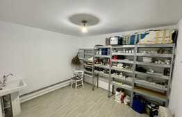 Casa individuala cu semineu, 500 mp teren, zona Holboca