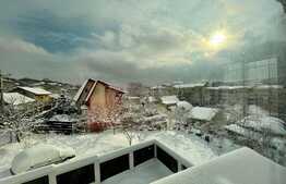 Casa individuala cu 5 camere, 249 mp utili, zona Copou