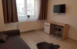 Garsoniera 30 mp, cartier rezidential zona Palas, prima inchiriere