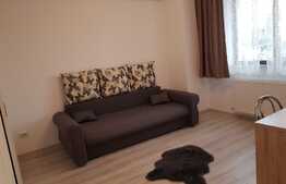 Garsoniera 30 mp, cartier rezidential zona Palas, prima inchiriere