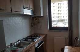 Garsoniera 30 mp, cartier rezidential zona Palas, prima inchiriere