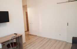 Garsoniera 30 mp, cartier rezidential zona Palas, prima inchiriere