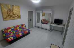 Apartament de 2 camere, Centru, Podul Ros