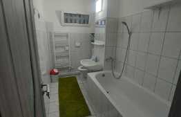 Apartament de 2 camere, Centru, Podul Ros