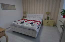 Apartament de 2 camere, Centru, Podul Ros