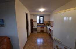 Casa individuala de 140 mp cu teren de 1000 mp, sat Pietrarie