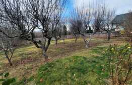 Casa individuala de 140 mp cu teren de 1000 mp, sat Pietrarie