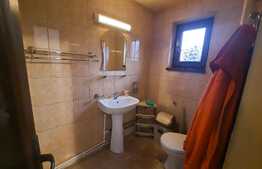 Casa individuala de 140 mp cu teren de 1000 mp, sat Pietrarie