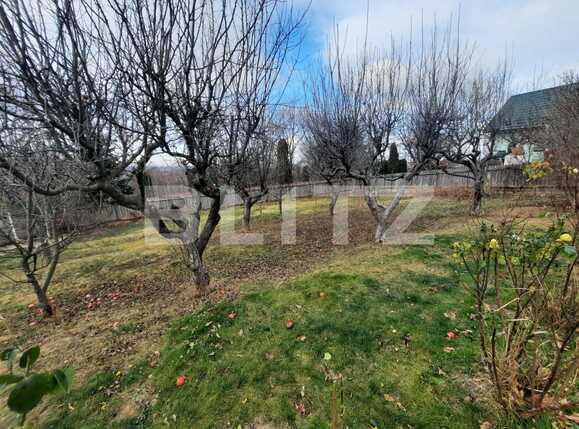 Casa de vânzare 4 camere Pietrarie - 77792CV | BLITZ Iași | Poza14