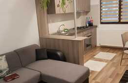 Apartament nou de 2 camere, prima inchiriere, zona Palas