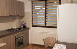 Apartament nou de 2 camere, prima inchiriere, zona Palas