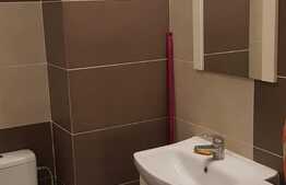 Apartament nou de 2 camere, prima inchiriere, zona Palas