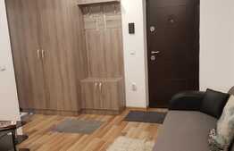 Apartament nou de 2 camere, prima inchiriere, zona Palas