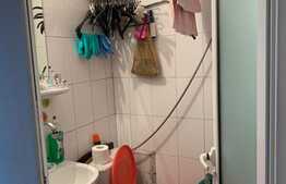 Camera de camin, cu bucatarie, Alexandru cel Bun