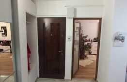Apartament de 2 camere, 47 mp, proaspat renovat, zona Piata Cug 