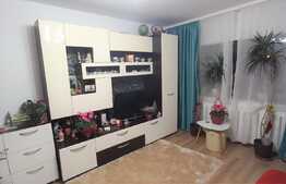 Apartament de 2 camere, 47 mp, proaspat renovat, zona Piata Cug 