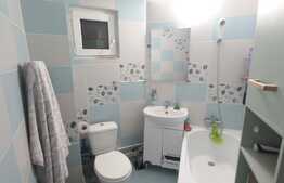 Apartament de 2 camere, 47 mp, proaspat renovat, zona Piata Cug 