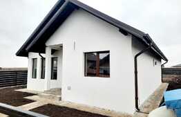 Oportunitate! Casa individuala de 3 camere, teren de 500 mp, Vorovesti