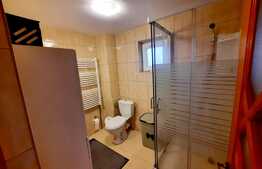 Casa de 4 camere, 120 mp utili, 510 mp teren, Lunca Cetatuii