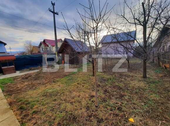 Casa de vânzare 4 camere Lunca Cetatuii - 78125CV | BLITZ Iași | Poza4