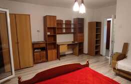 Garsoniera de 45 mp, decomandata, zona Pacurari