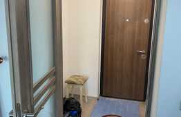 Garsoniera renovata, 31 mp, etaj intermediar, Tatarasi