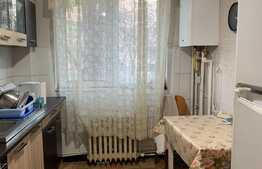 Apartament 2 camere, 48 mp, zona centrala, Podu Ros