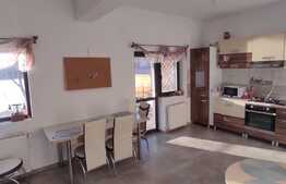 Casa premium, mobilata, 350 mp teren, pe malul lacului Rediu